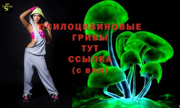 тгк Алексин