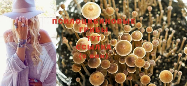 тгк Алексин
